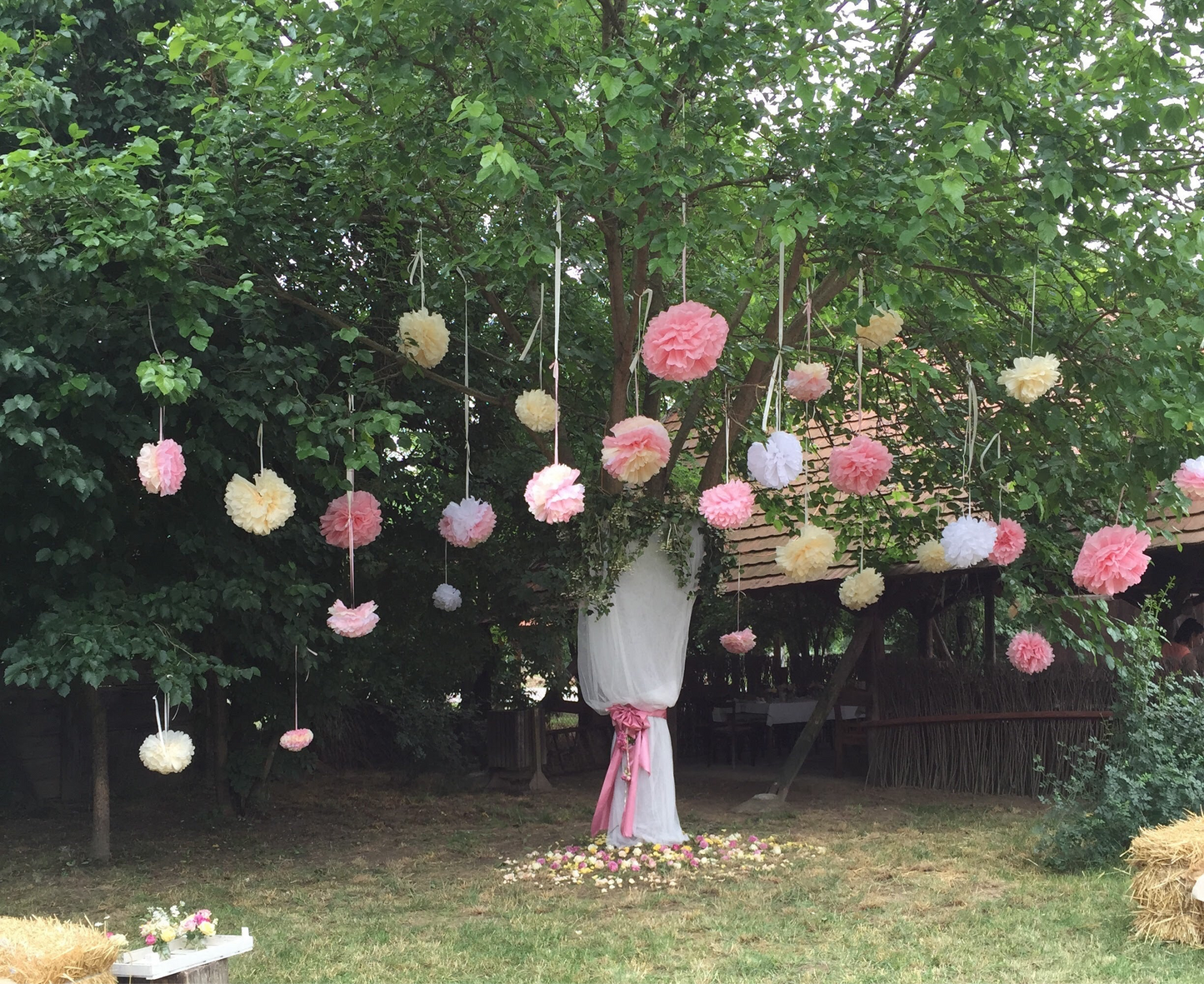 101.Wedding