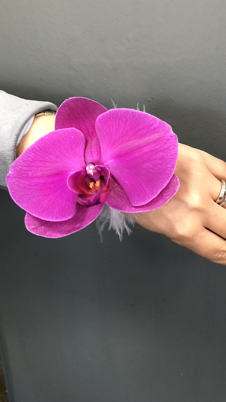 23.Hand Corsage