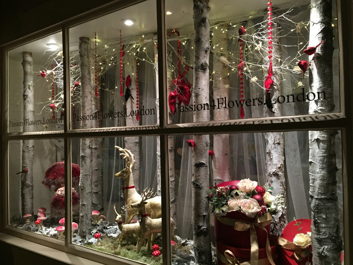 Christmas Window