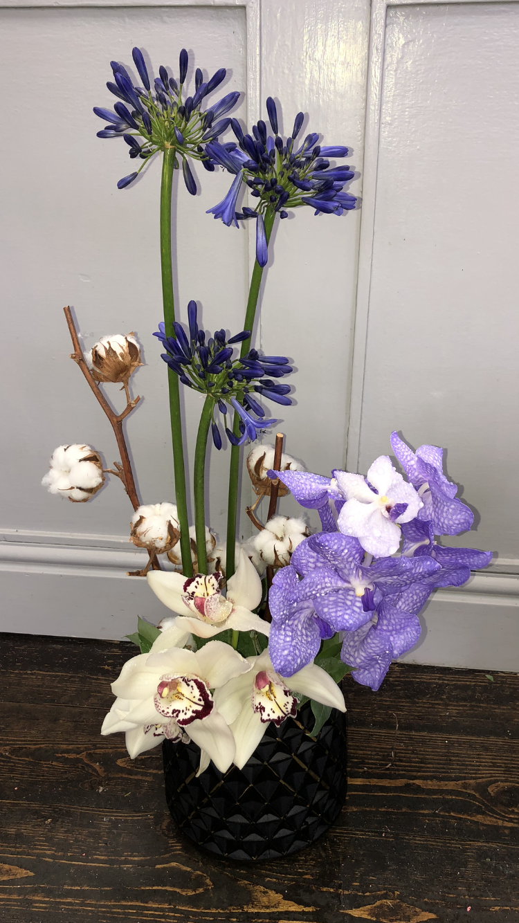 Festive Arrangement