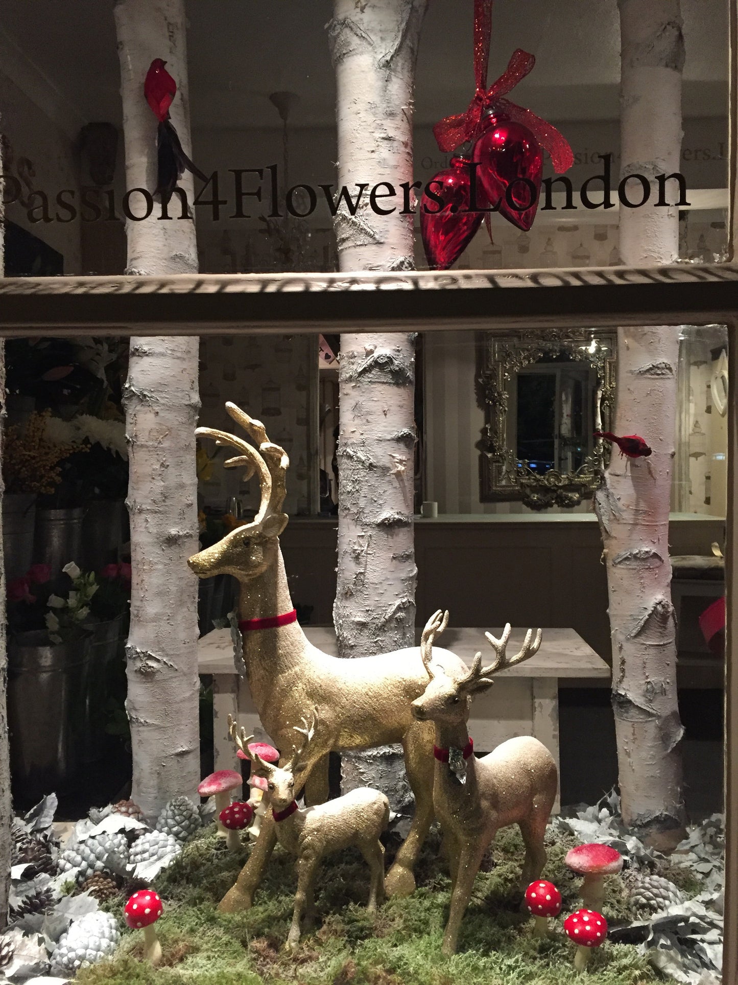 Christmas Window