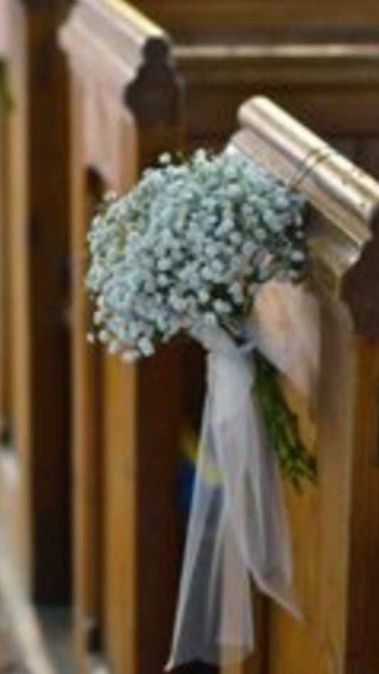 Gypsophila Pew end