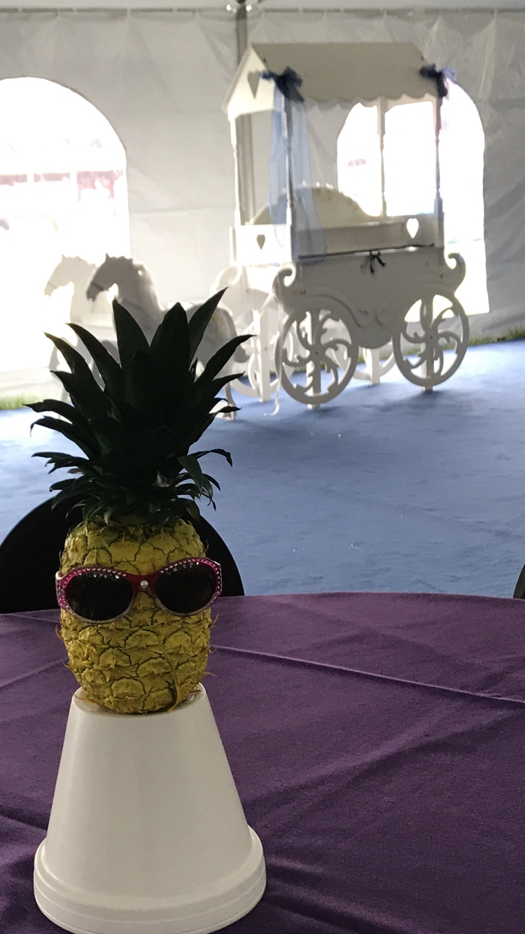 Pineapple Dude