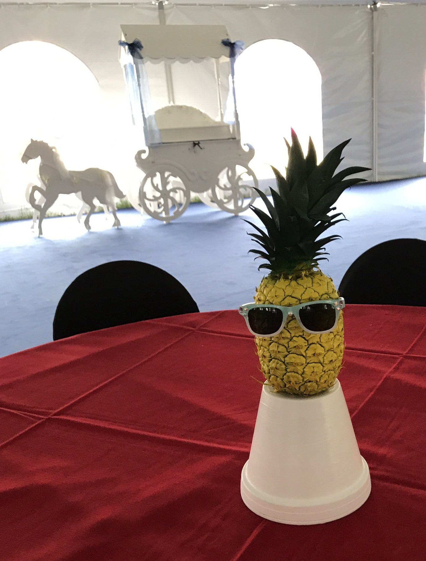 Pineapple Dude